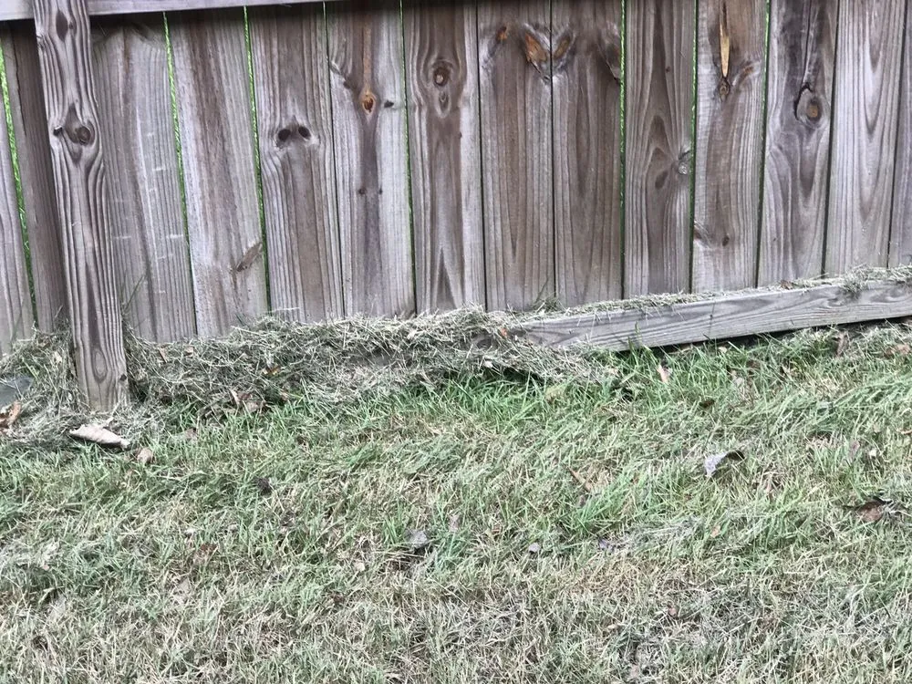 Custom lawn care service for residential properties across Mount Pleasant, SC - Simply Green Landscaping