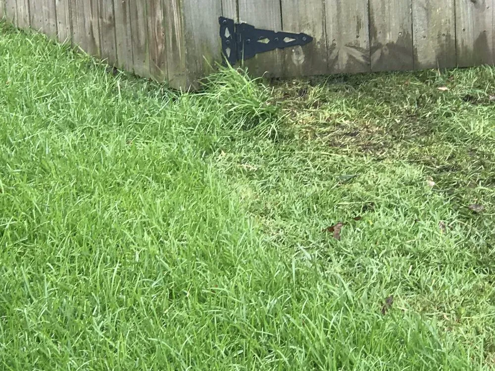 Affordable residential landscaping in Mount Pleasant, SC - Simply Green Landscaping