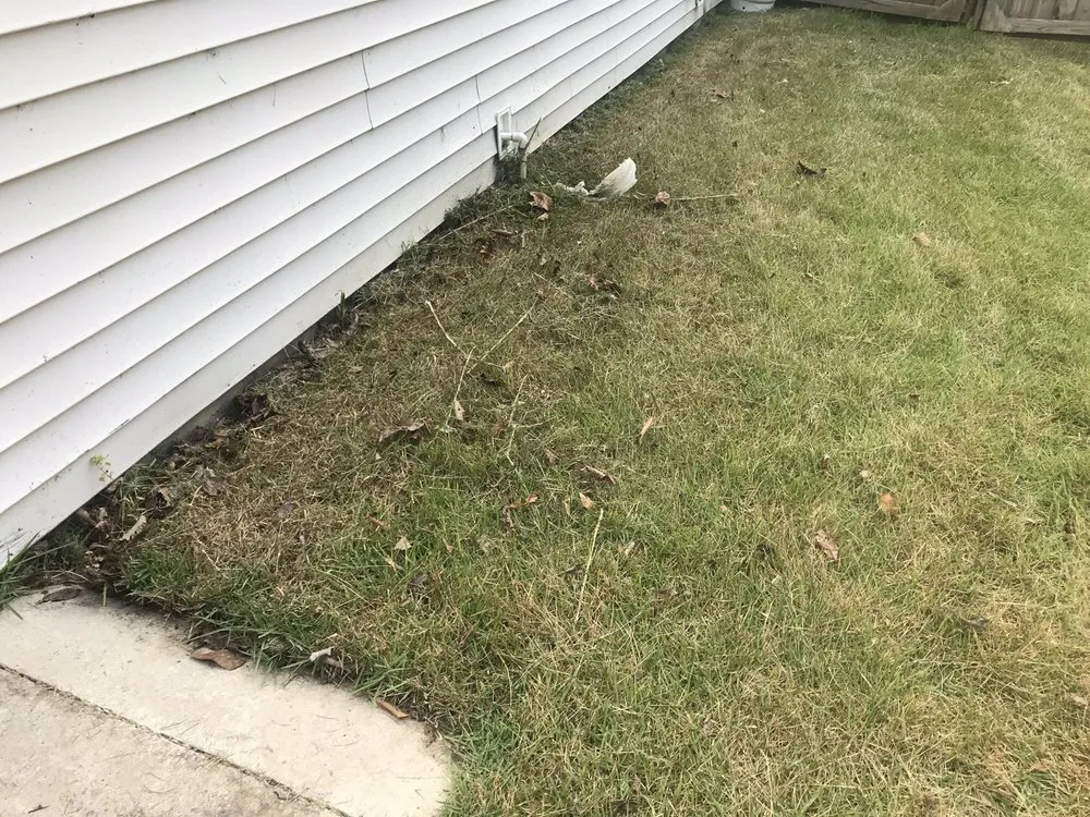 Custom yard maintenance in Mount Pleasant, SC by Simply Green Landscaping