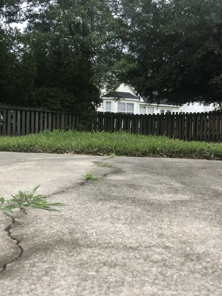 Professional lawn care service for outdoor upgrades across Mount Pleasant, SC - Simply Green Landscaping