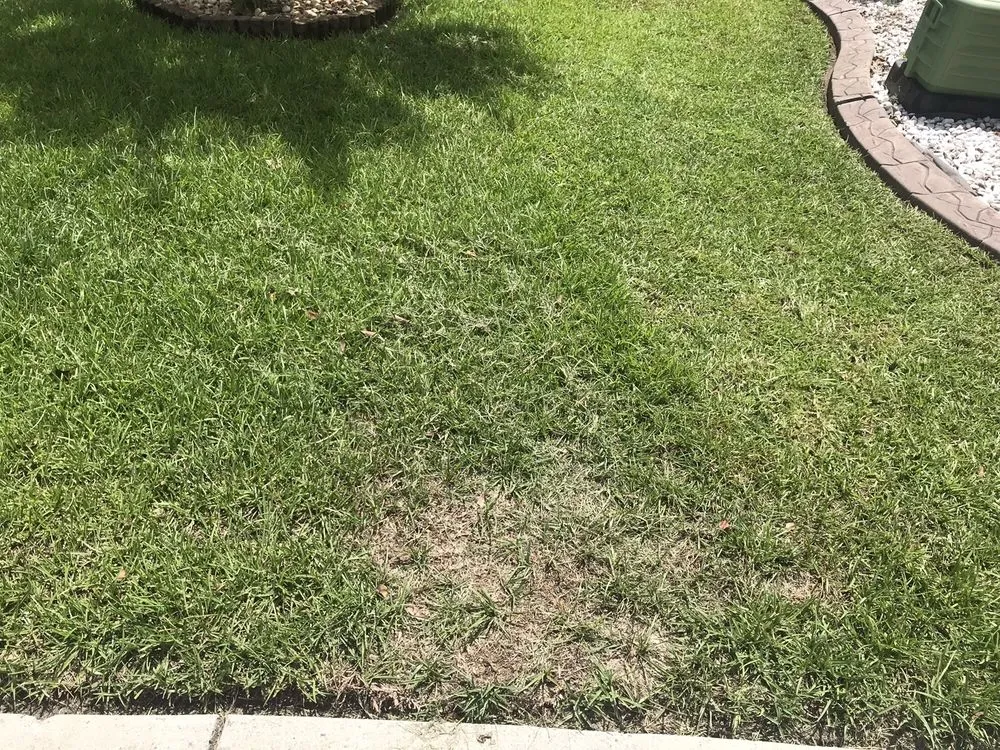 Expert landscaping services in Mount Pleasant, SC by Simply Green Landscaping