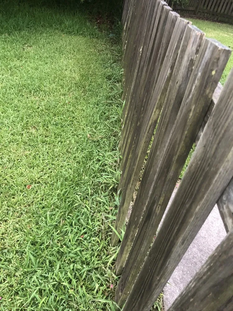 Local yard maintenance near you in Mount Pleasant, SC by Simply Green Landscaping