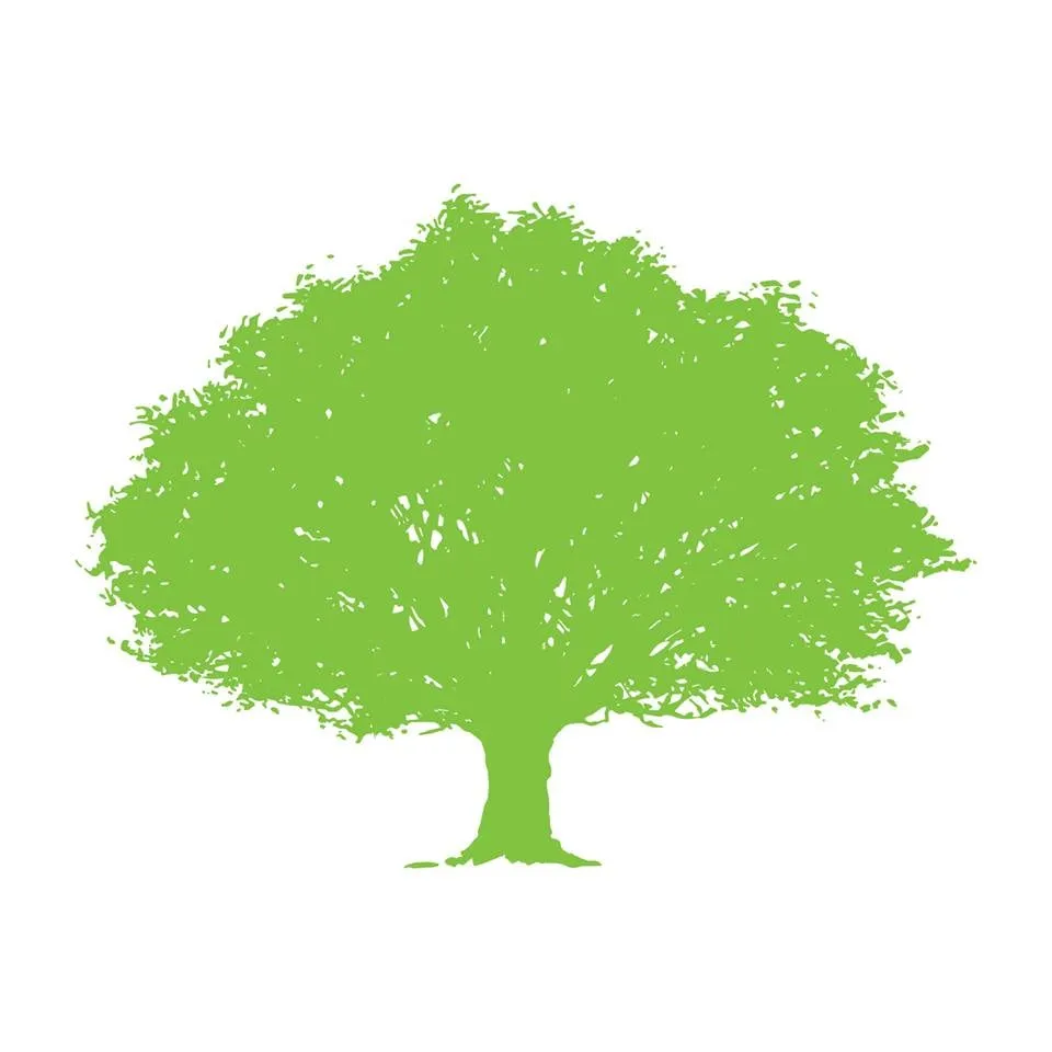 Affordable landscape installation near you in Mount Pleasant, SC by Simply Green Landscaping