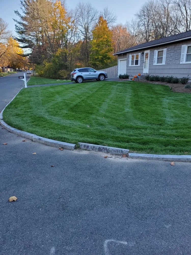 Affordable outdoor landscaping in Springfield, MA - Simply Green Landscaping