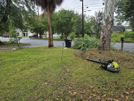 Simply Green Lawn Care Logo