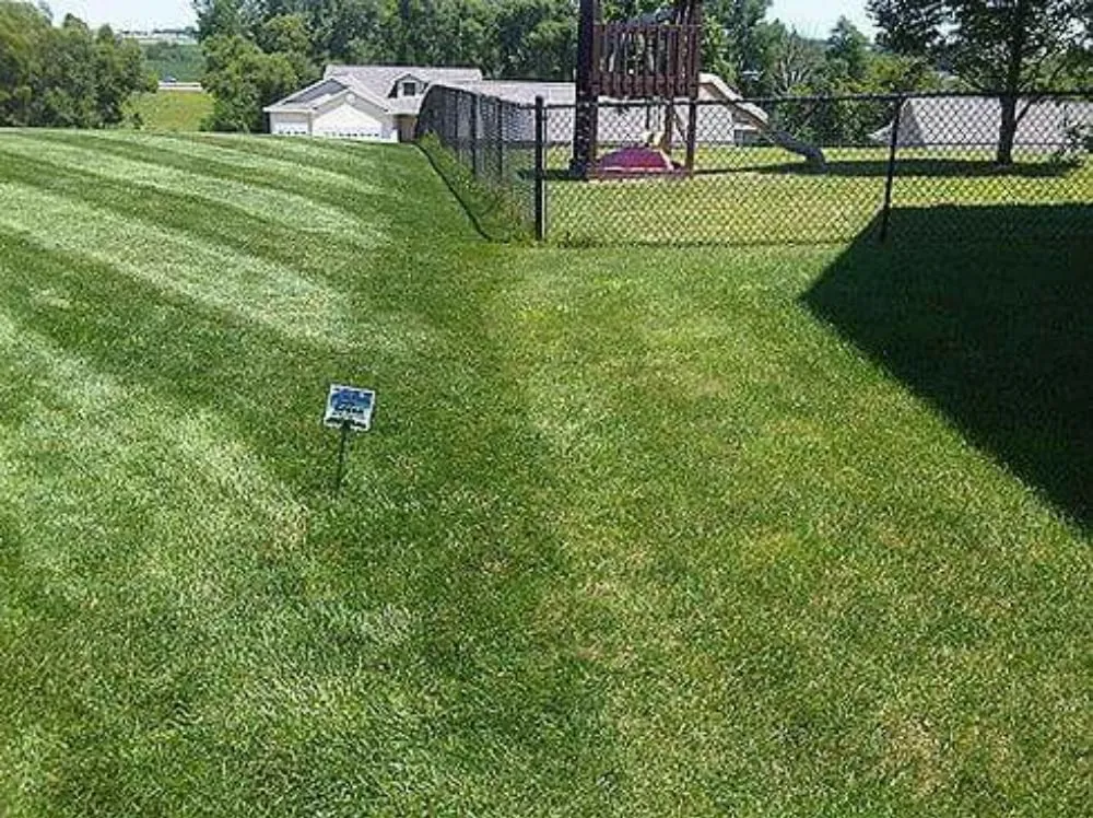 Local yard cleanup service for year-round maintenance across Fairfax, IA - Simply Green Lawn Care