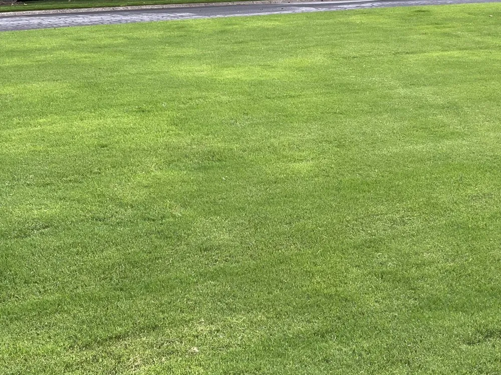 Trusted lawn mowing service for residential properties across Lilburn, GA - Simply Green Lawn Care