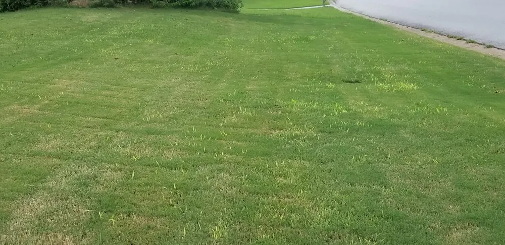 Custom landscape installation in Lilburn, GA by Simply Green Lawn Care