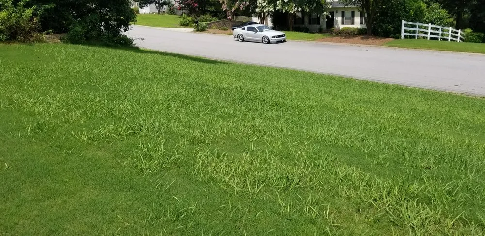 Local lawn care service for residential properties in Lilburn, GA by Simply Green Lawn Care