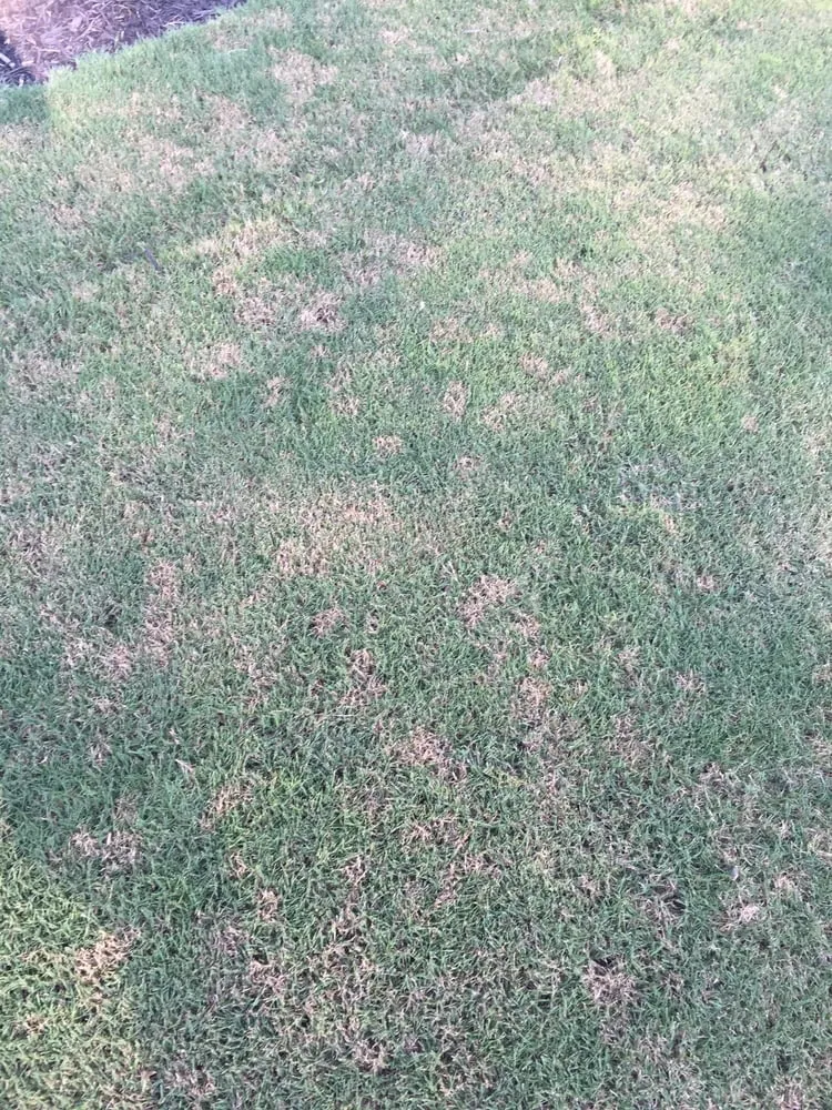 Reliable landscape installation in Lilburn, GA by Simply Green Lawn Care