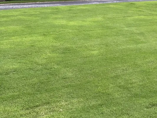 Simply Green Lawn Care Logo