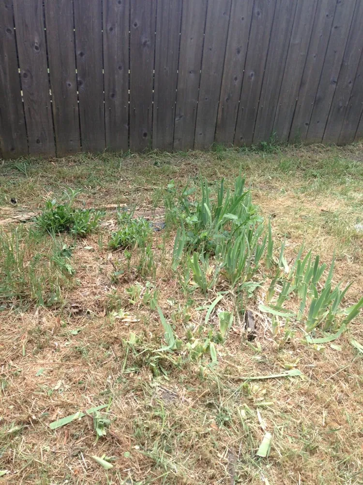 Trusted landscape design for outdoor upgrades across Medford, OR - Simply Green Lawn Care