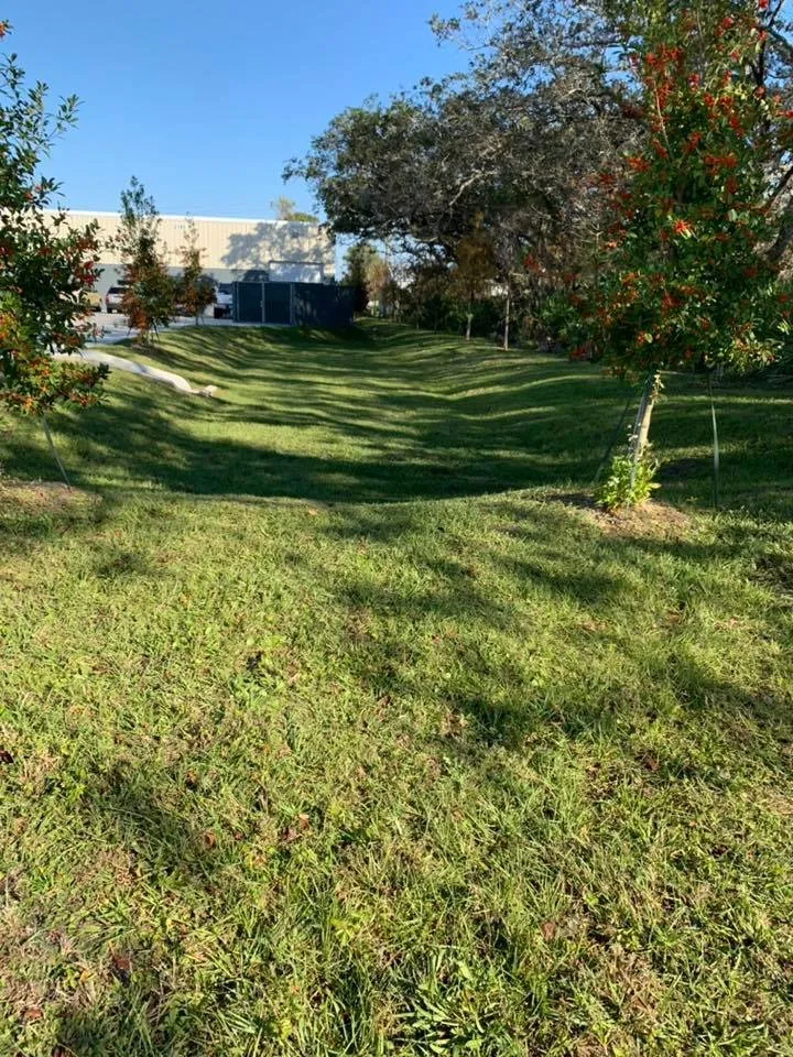 Trusted landscaping services in Melbourne, FL - Simply Green Lawn Care