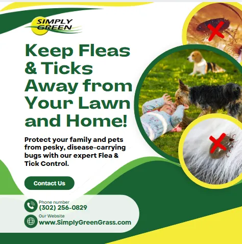Top-rated yard cleanup service experts serving Stanton, DE - Simply Green Lawn Care