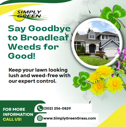 Expert yard cleanup service for beautiful yards across Stanton, DE - Simply Green Lawn Care