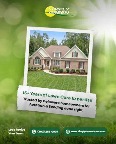 Professional outdoor landscaping in Stanton, DE by Simply Green Lawn Care