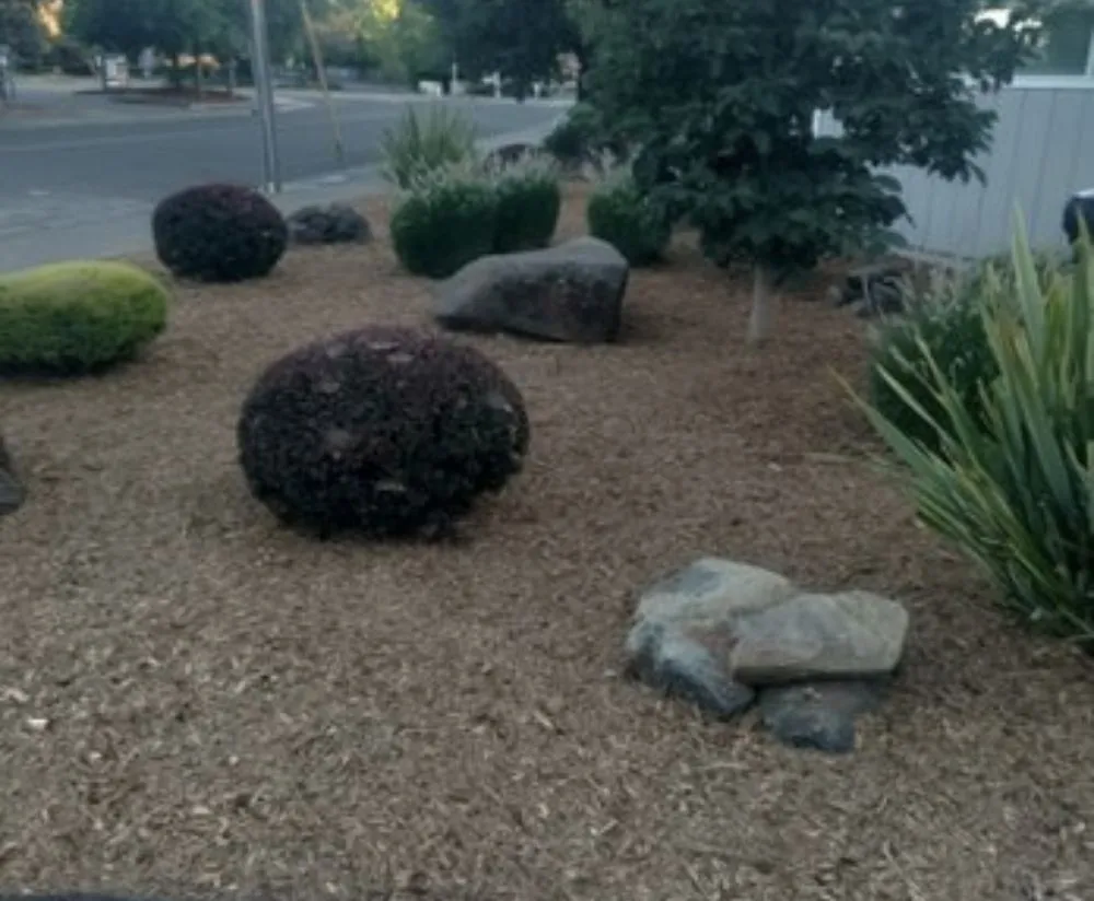 Local landscaping services in Santa Rosa, CA - Simply Green Services
