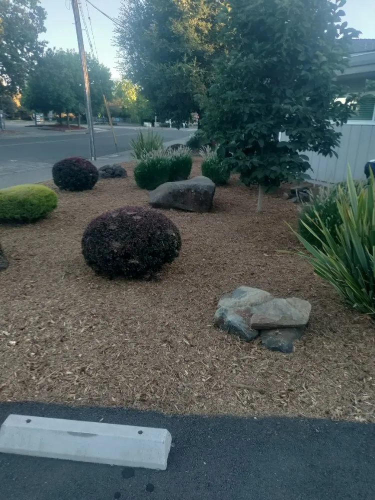 Trusted lawn mowing service in Santa Rosa, CA by Simply Green Services