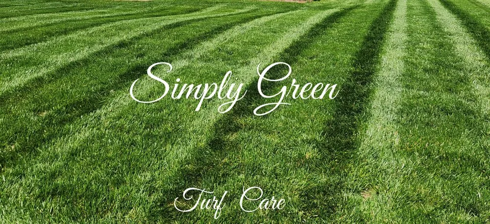 Custom outdoor landscaping in Richmond, VA - Simply Green Turf Care