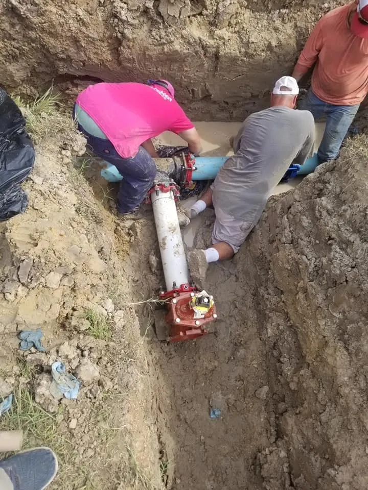 Affordable landscaping services in Tyler, TX - Simply Green