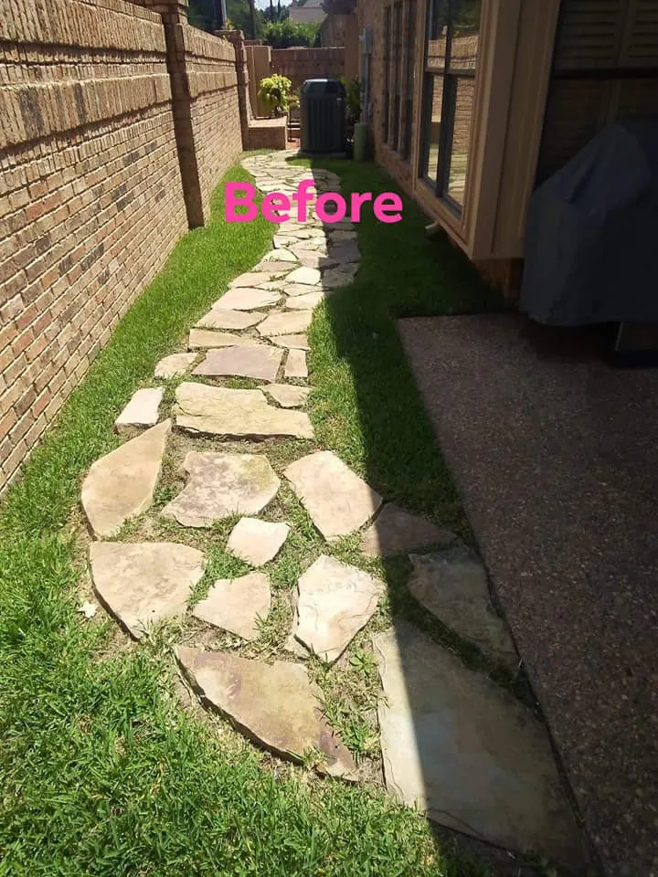 Expert yard cleanup service experts serving Tyler, TX - Simply Green