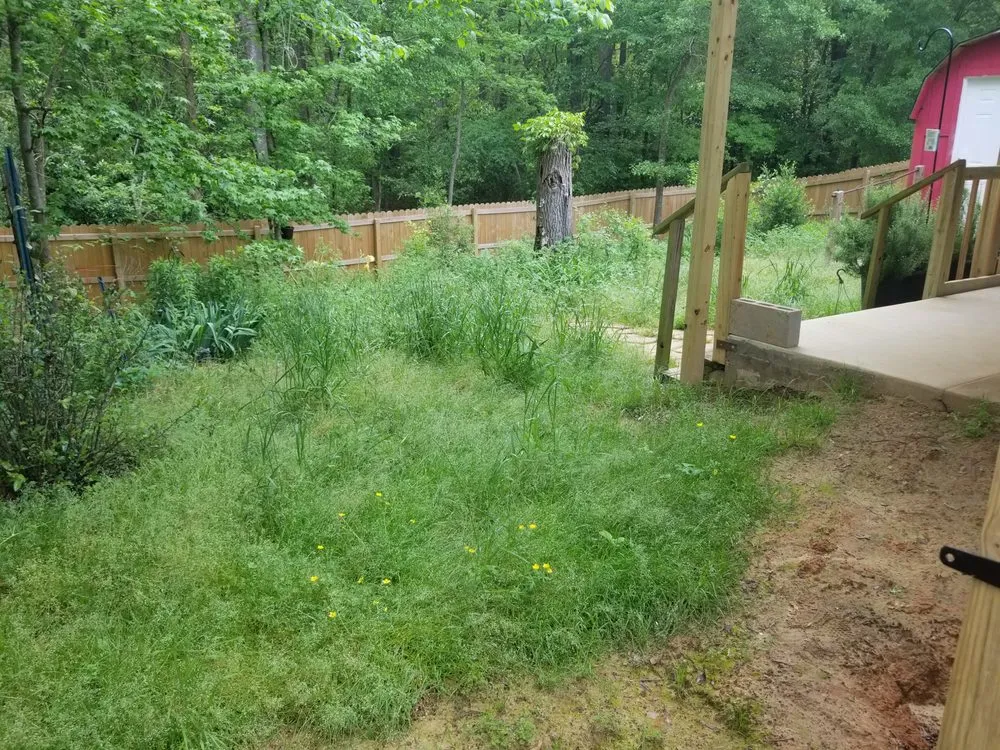 Reliable residential landscaping in Tyler, TX - Simply Green