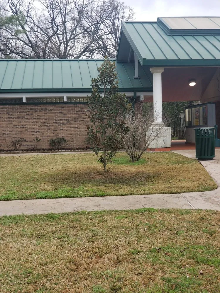 Local yard cleanup service experts serving Tyler, TX - Simply Green