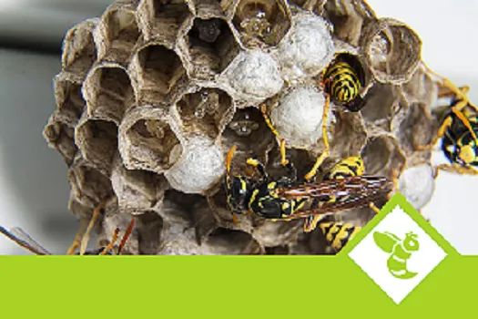 Affordable residential landscaping for year-round maintenance across Springville, UT - Simply Green Utah