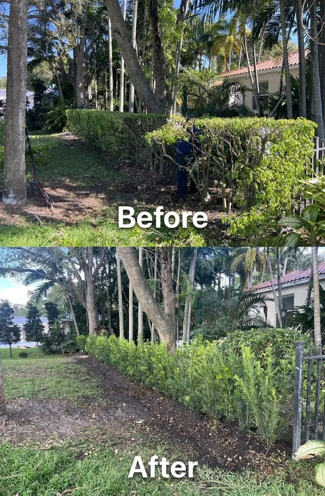 Local landscape design for homes across Miami, FL - Simply Landscapes