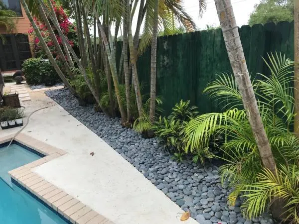 Expert lawn care service near you in Miami, FL by Simply Landscapes