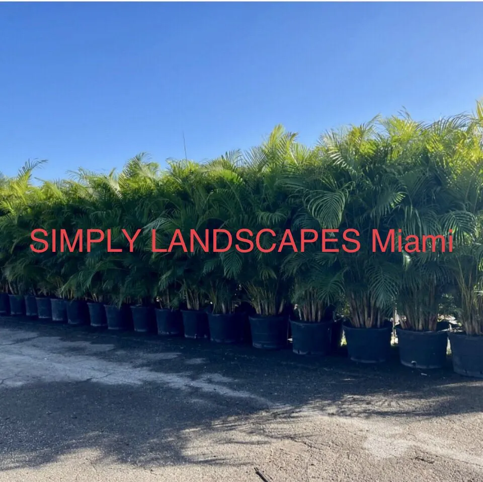 Reliable yard maintenance near you across Miami, FL - Simply Landscapes