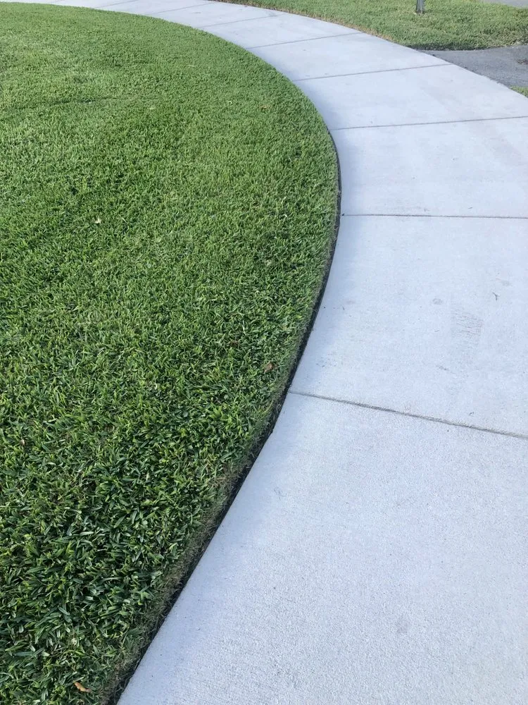 Local landscape design in Miami, FL - Simply Landscapes