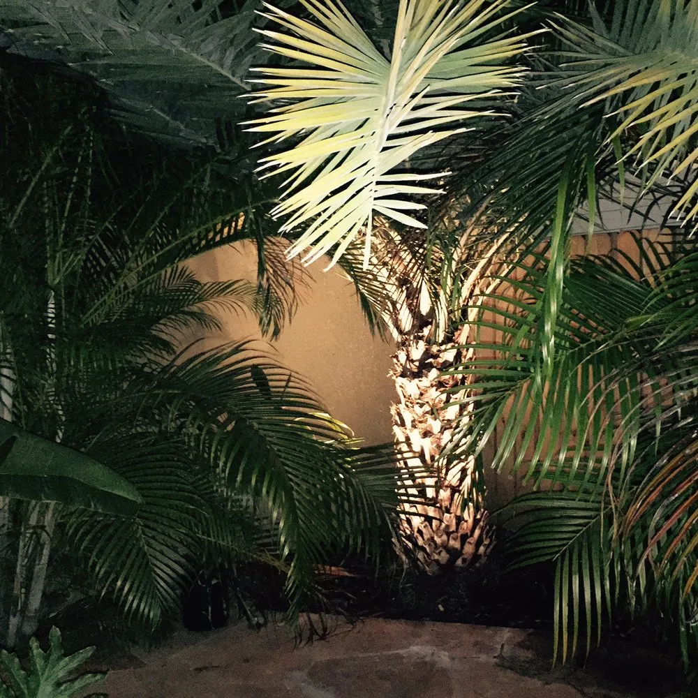 Affordable landscape design in Miami, FL by Simply Landscapes