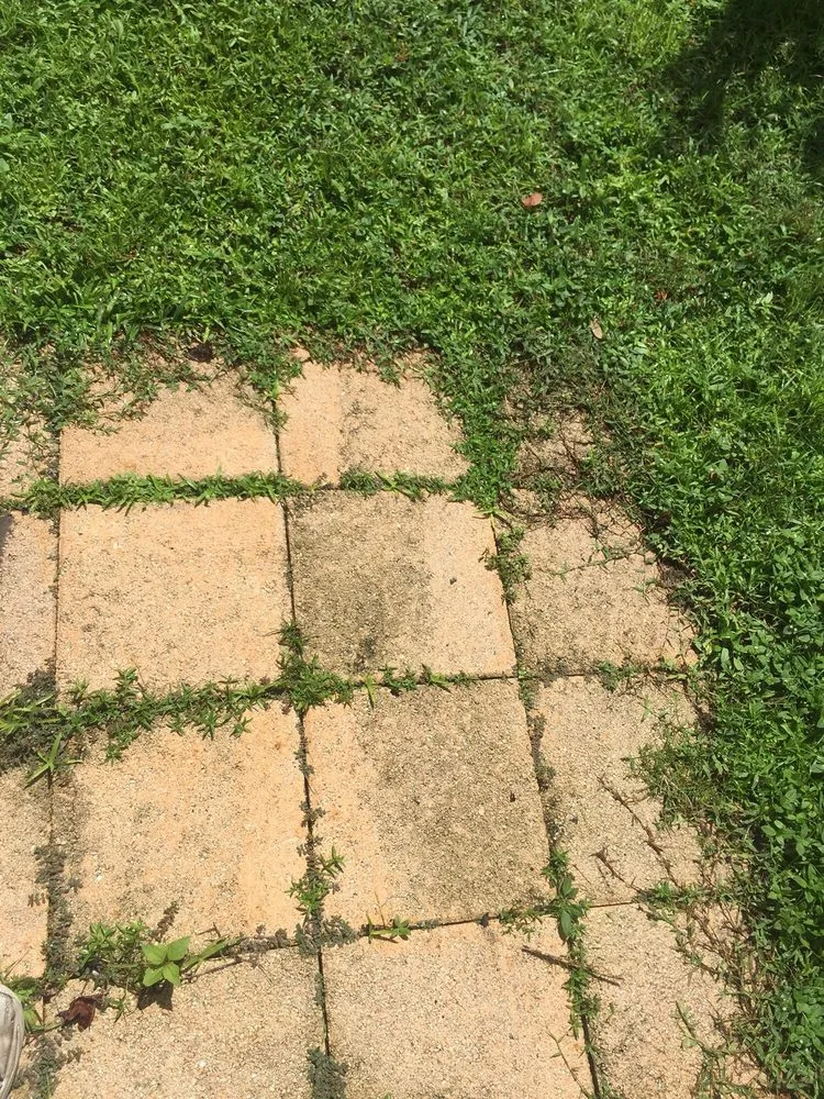 Expert garden landscaping for homes in Port St. Lucie, FL by Simply Lawn Care