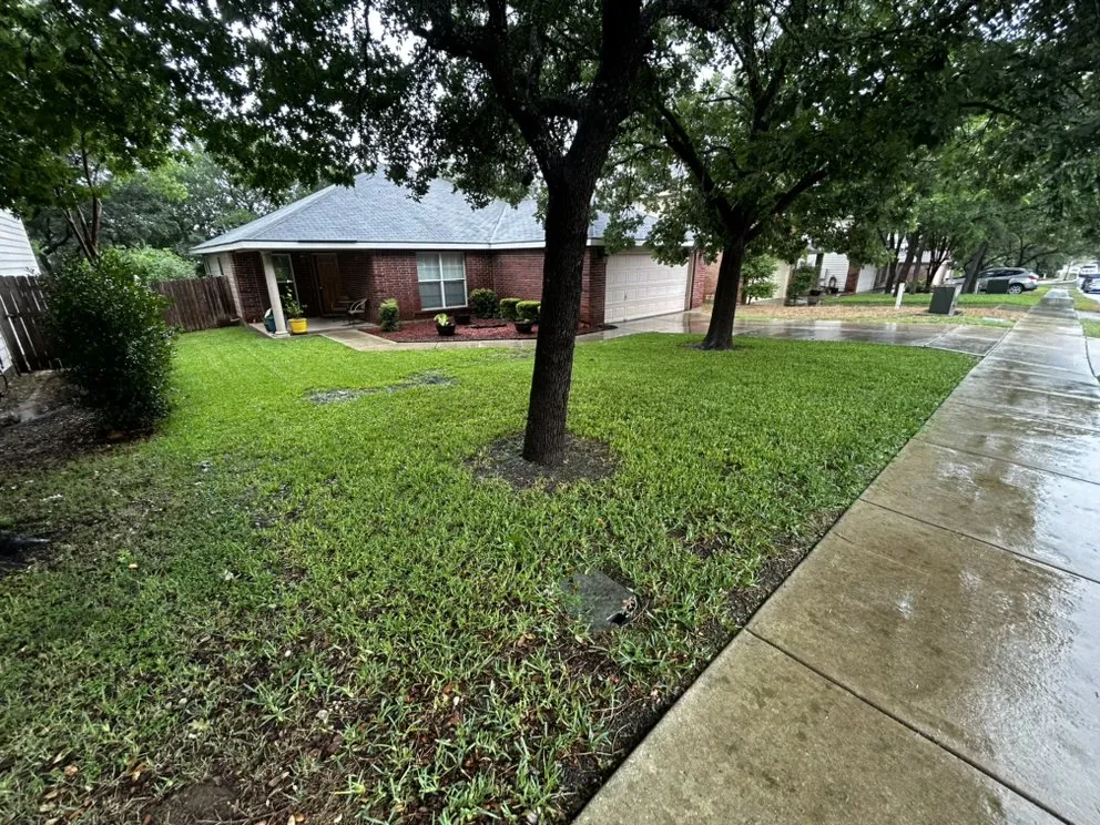 Reliable yard maintenance for beautiful yards in Converse, TX by Simply Lawn