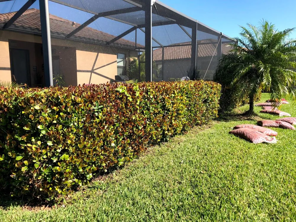 Trusted outdoor landscaping for outdoor upgrades across Fort Myers, FL - Simply Lawn Maintenance