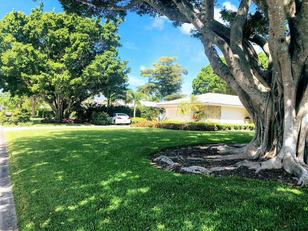 Top-rated yard cleanup service in Fort Myers, FL - Simply Lawn Maintenance