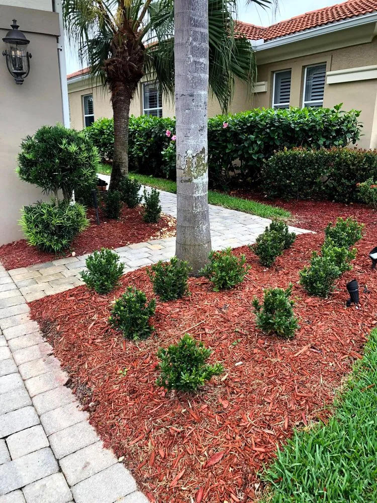 Affordable yard maintenance in Fort Myers, FL - Simply Lawn Maintenance