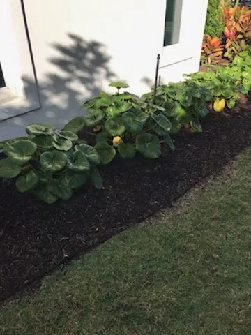 Trusted garden landscaping in Fort Myers, FL - Simply Lawn Maintenance