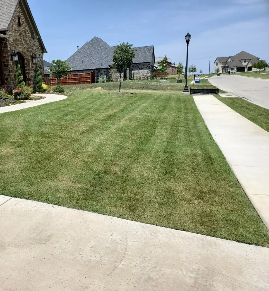 Top-rated outdoor landscaping experts serving Grand Prairie, TX - Simply Lawn Service
