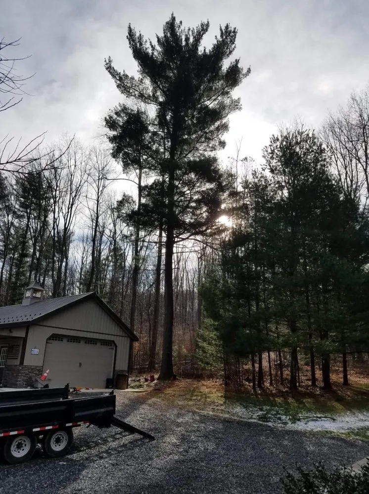 Expert residential landscaping experts serving York Springs, PA - Simply Natural Lawn & Landscaping
