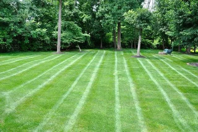 Reliable lawn care service experts serving York Springs, PA - Simply Natural Lawn & Landscaping