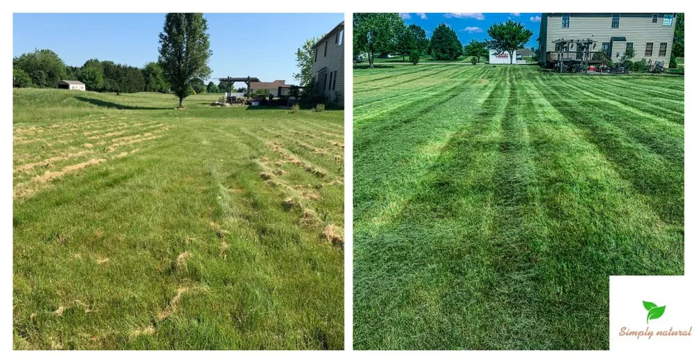 Affordable landscaping services experts serving York Springs, PA - Simply Natural Lawn & Landscaping