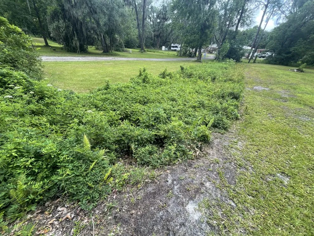 Professional landscaping services experts serving San Mateo, FL - Simply Outdoor Solutions