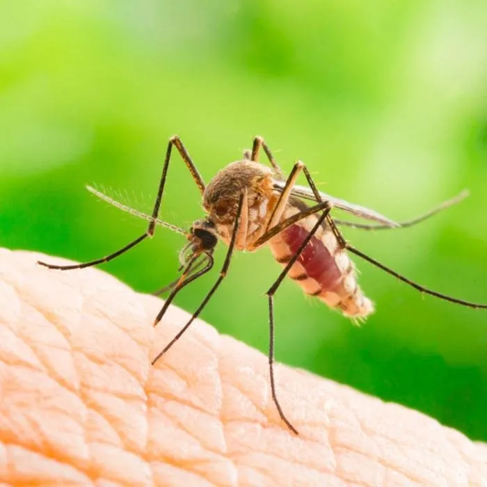 Top-rated lawn care service for homes across Wrentham, MA - Simply Safer Premium Lawn Care