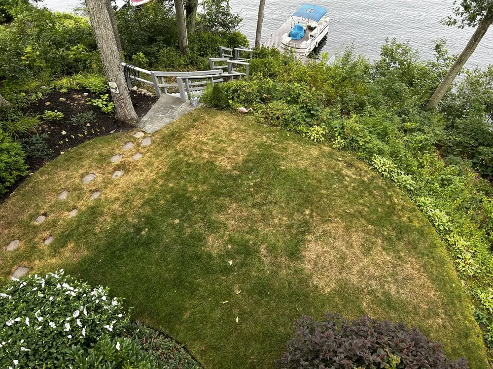 Top-rated lawn mowing service in Wrentham, MA by Simply Safer Premium Lawn Care