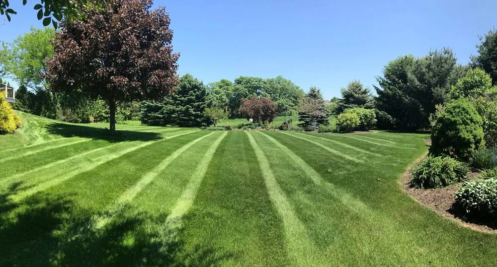 Custom outdoor landscaping for year-round maintenance in Madison, WI by Simply Snow & Lawn