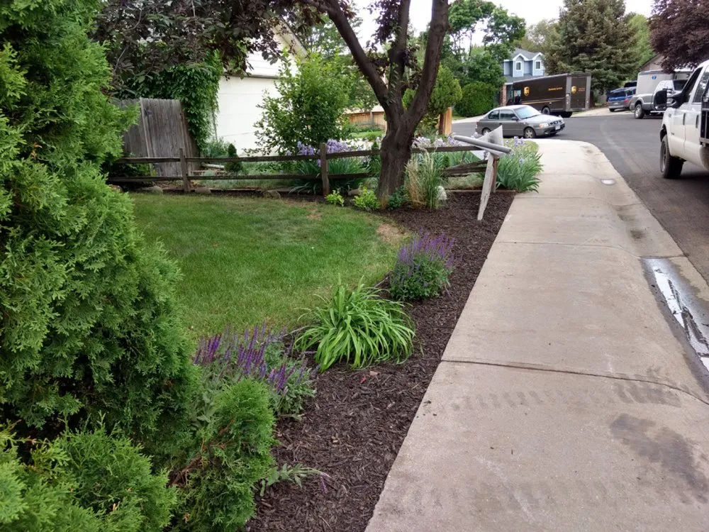 Trusted lawn mowing service near you in Wellington, CO by Simply Sod & Landscaping
