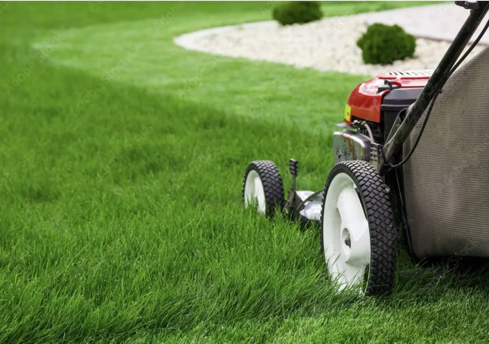Affordable lawn mowing service with custom design in Tickfaw, LA by Simply Southern Lawn Care and More