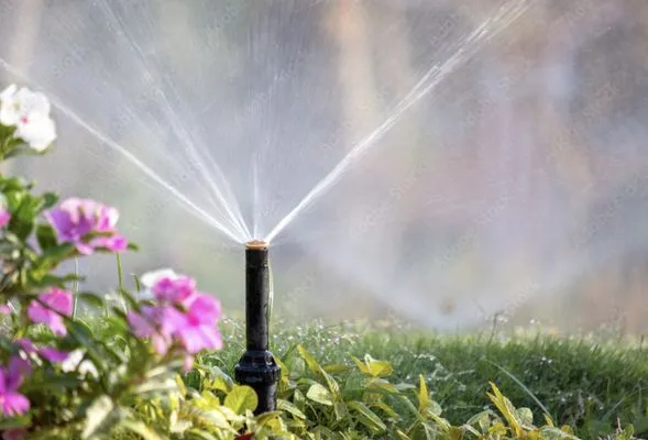 Simply Southern Lawn Care and More Logo